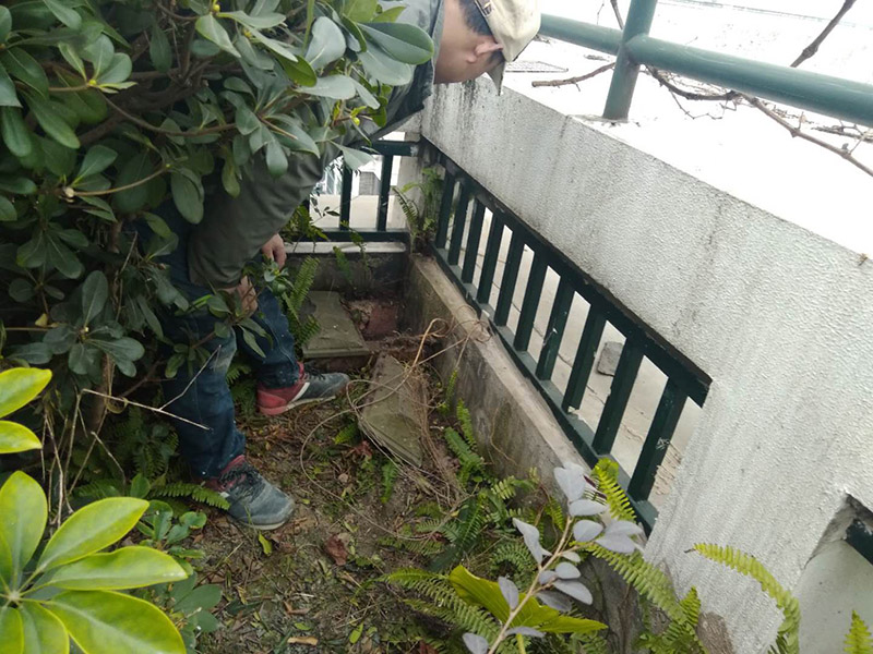 屋頂露臺看現(xiàn)場：如果防水師傅沒有檢驗基層，直接就刷防水涂料的話，那么基層比較差，后期肯定會發(fā)生滲漏問題的。當然，有的朋友會說，即便發(fā)生這種情況，后果也是該師傅來承擔的。但事實上，真的沒有人會希望發(fā)生問題，畢竟在出現(xiàn)問題之后，會給自己生活帶來很大的麻煩。