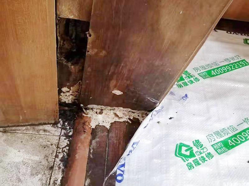 周口木門翻新哪里找專業(yè)師傅，木門翻新工藝是怎樣的