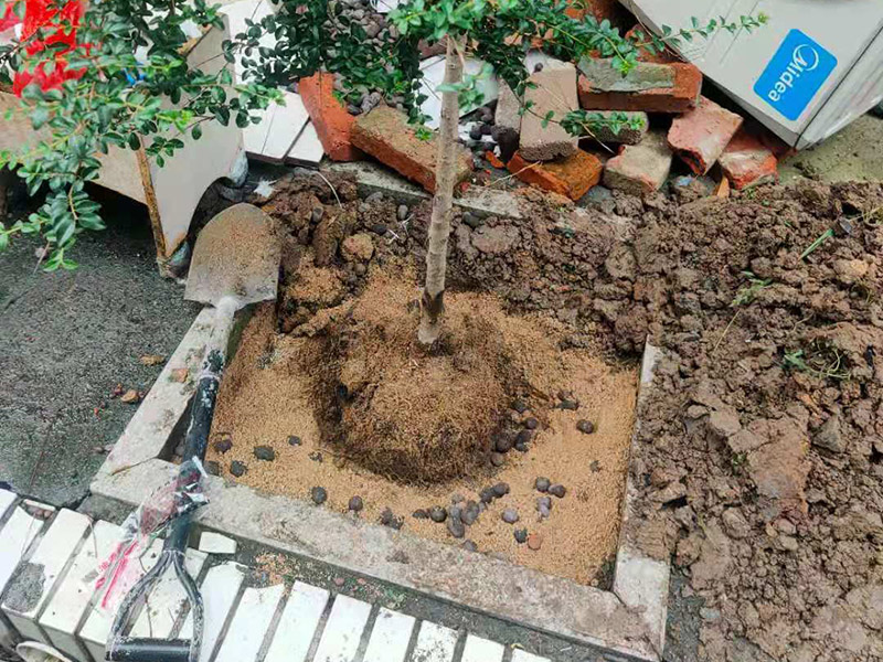 庭院植物底部防水：找到本來(lái)的防水層，由于防水層不是顯露的，是在面層下部，有必要將面層進(jìn)行悉數(shù)根除，找到本來(lái)的防水層。將原防水層根除以后，找平，將本來(lái)下部保溫層里存的水進(jìn)行排干，設(shè)一些排氣孔做排氣辦法，將保溫層里的水分排干。做完防水層以后，必定要做找坡處理，不要形成屋面部分存水，通常設(shè)置水泥砂漿找平找坡，找坡的斜度不小于3%。再進(jìn)行閉水實(shí)驗(yàn)，不漏水為合格，再進(jìn)行康復(fù)上面的維護(hù)及鋪貼面磚裝修。