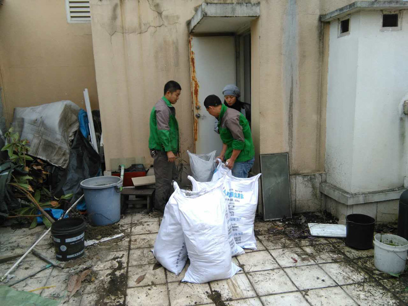 花園改造注意事項(xiàng)，警惕植物根系穿刺防